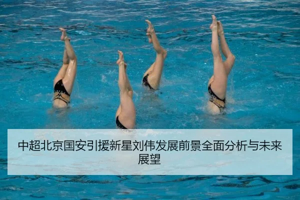 zhong-chao-bei-jing-guo-an-yin-yuan-xin-xing-liu-wei-fa-zhan-qian-jing-quan-mian-fen-xi-yu-wei-lai-zhan-wang-2-652.jpg