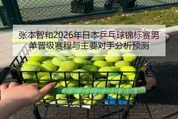 张本智和2026年日本乒乓球锦标赛男单晋级赛程与主要对手分析预测