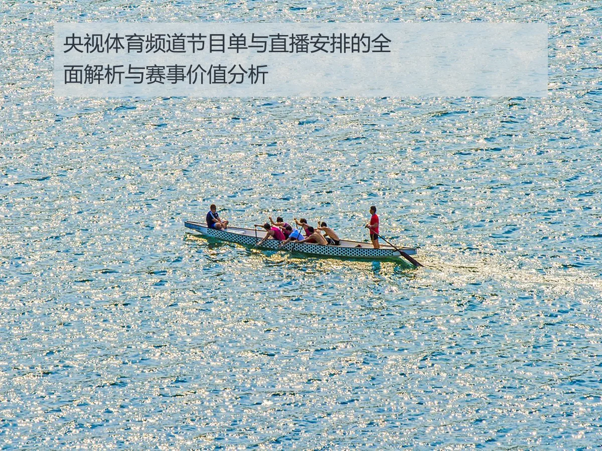 央视体育频道节目单与直播安排的全面解析与赛事价值分析